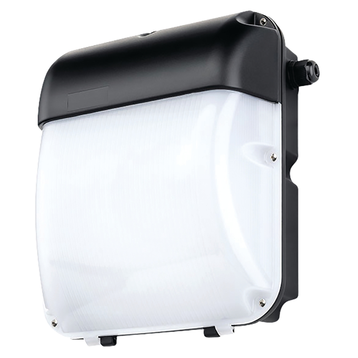 JCC 30W LED Wall Pack Bulkhead Light - IP65 - 4000K Cool White - Black 199194