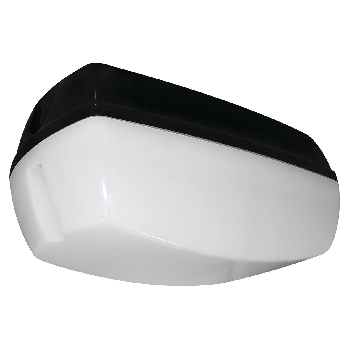 Eterna 10W LED Bulkhead Light - IP65 - 4000K Cool White - Black 403018
