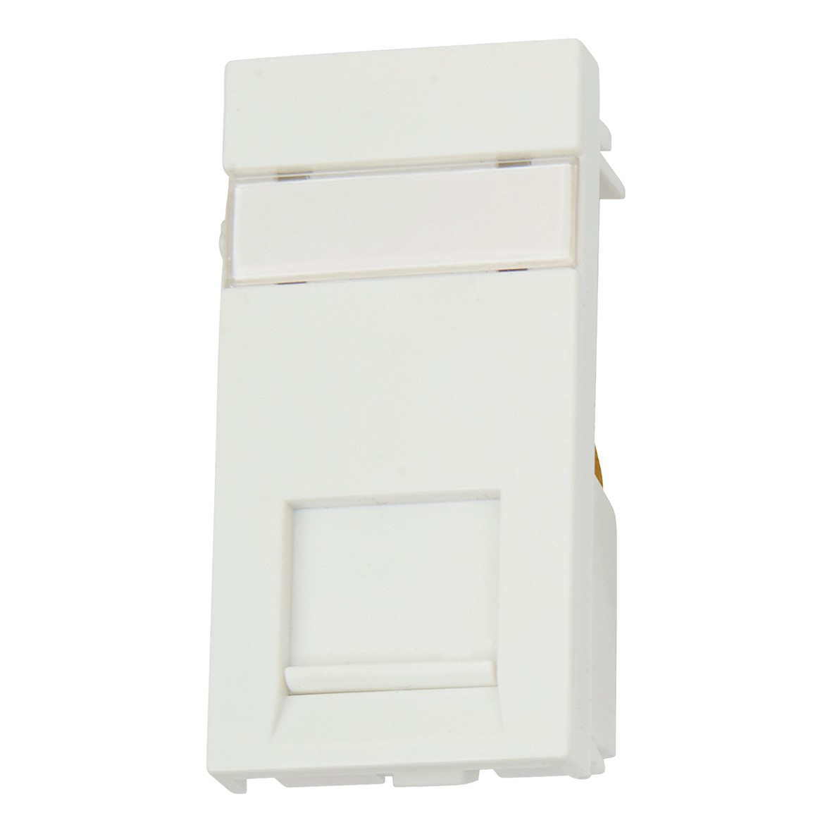 Cat 5 BT Outlet Master 433477