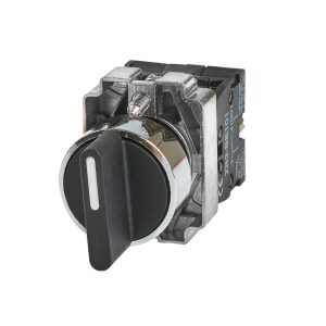 10A 22MM 2 POSITIONAL SW 830201