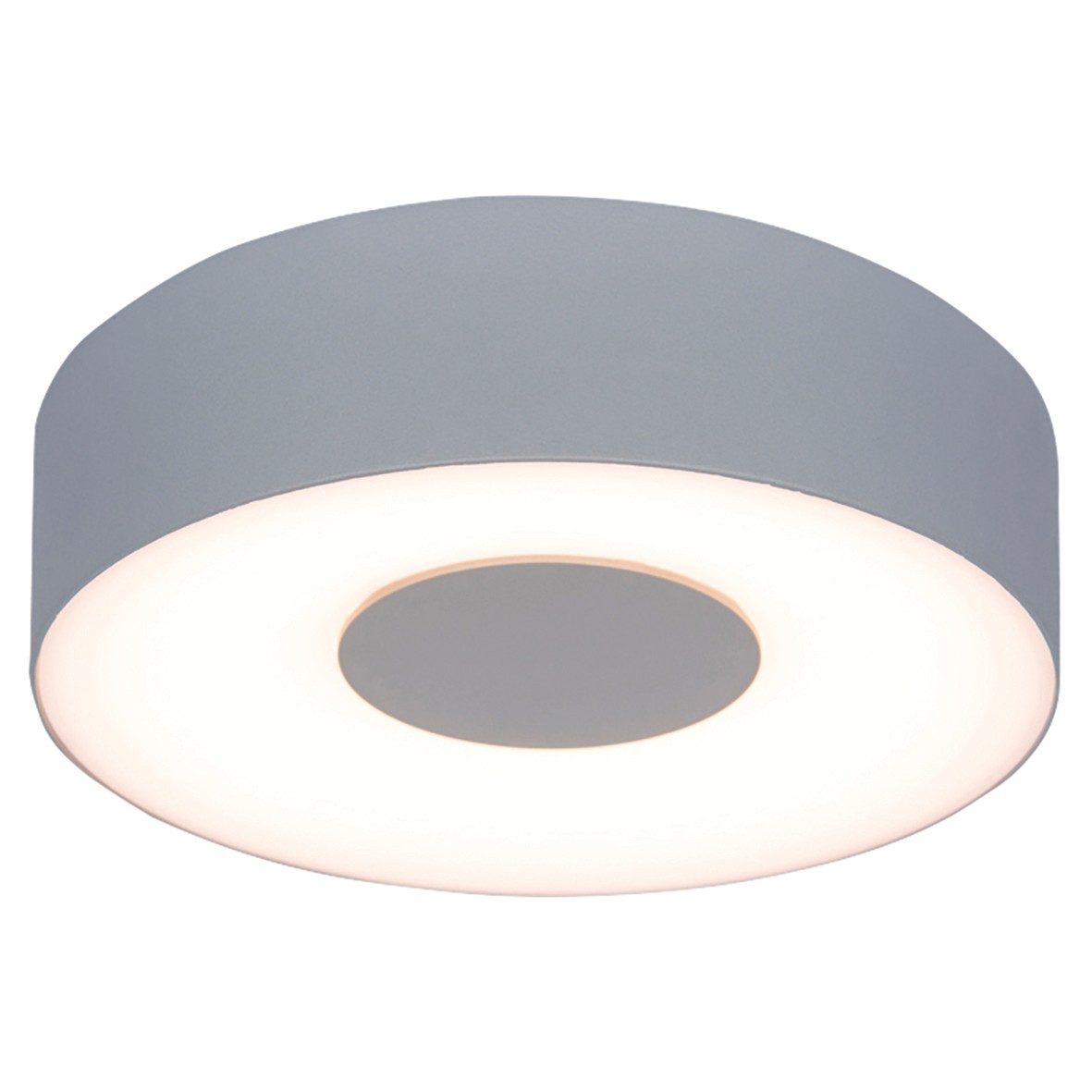 Lutec Ublo Integrated LED Wall and Celing Light 420lm IP54 Silver - 300 900784